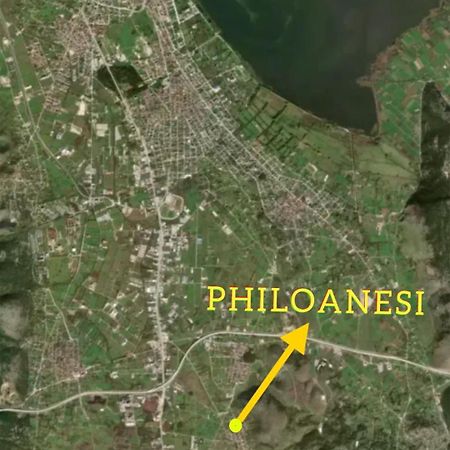 Philoanesi Apartment Neokesaria Bagian luar foto